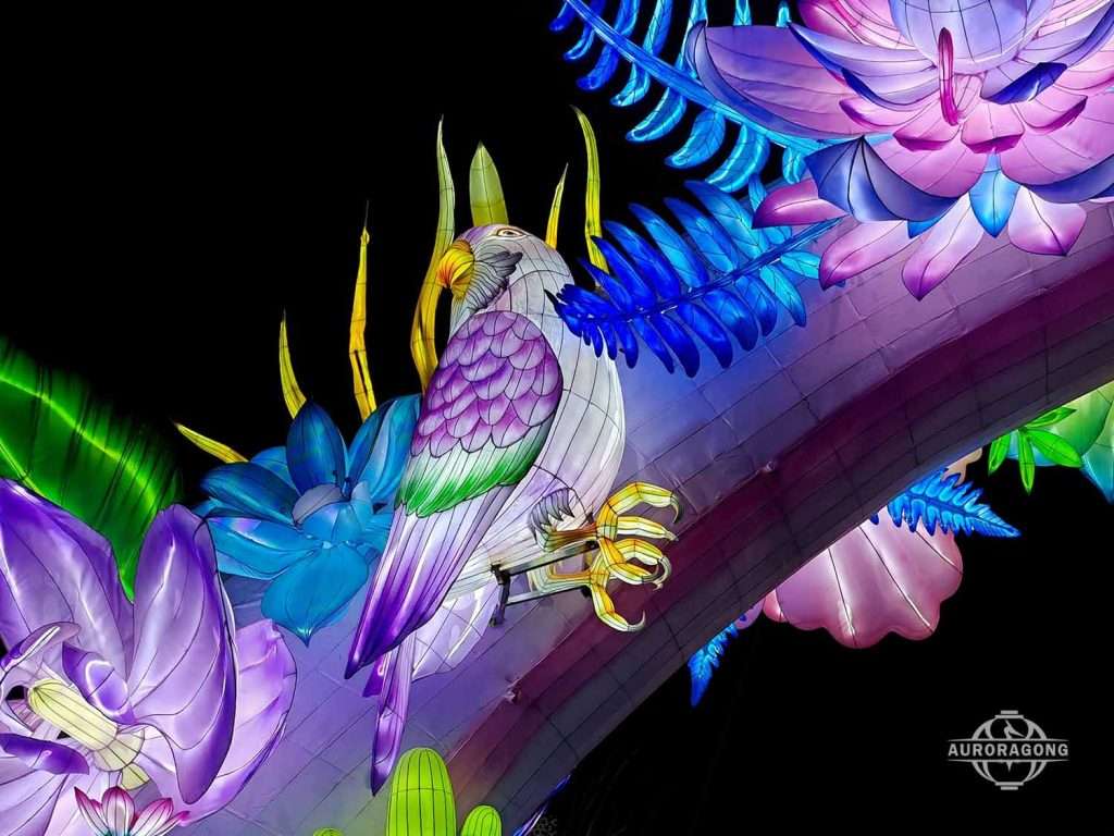 Illuminated phoenix bird lantern with colorful feathers surrounded by lotus flowers at night