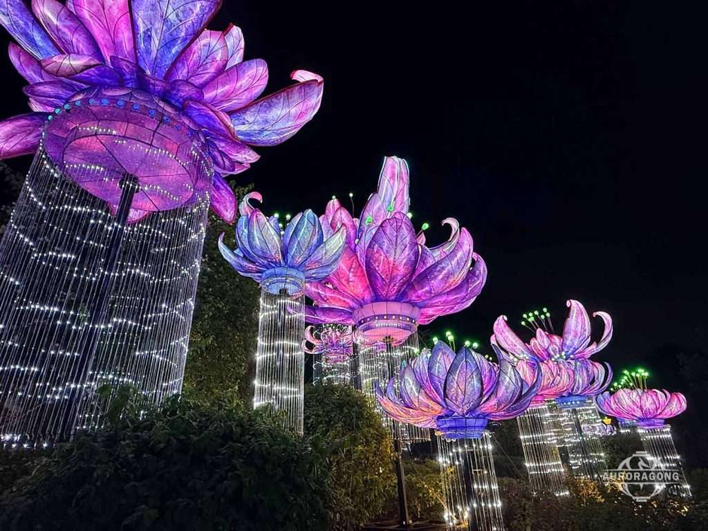 Giant pink and purple LED illuminated lotus flower lanterns displayed outdoors at night