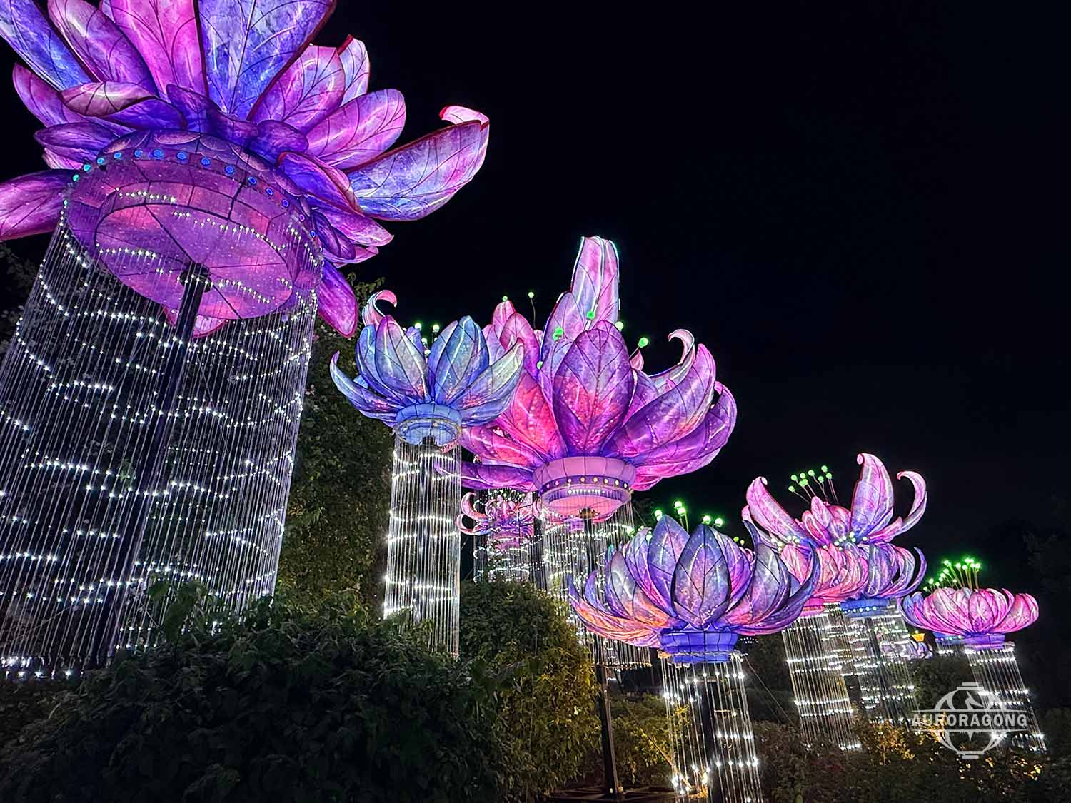 Fish Lantern Tunnel for Botanical Gardens