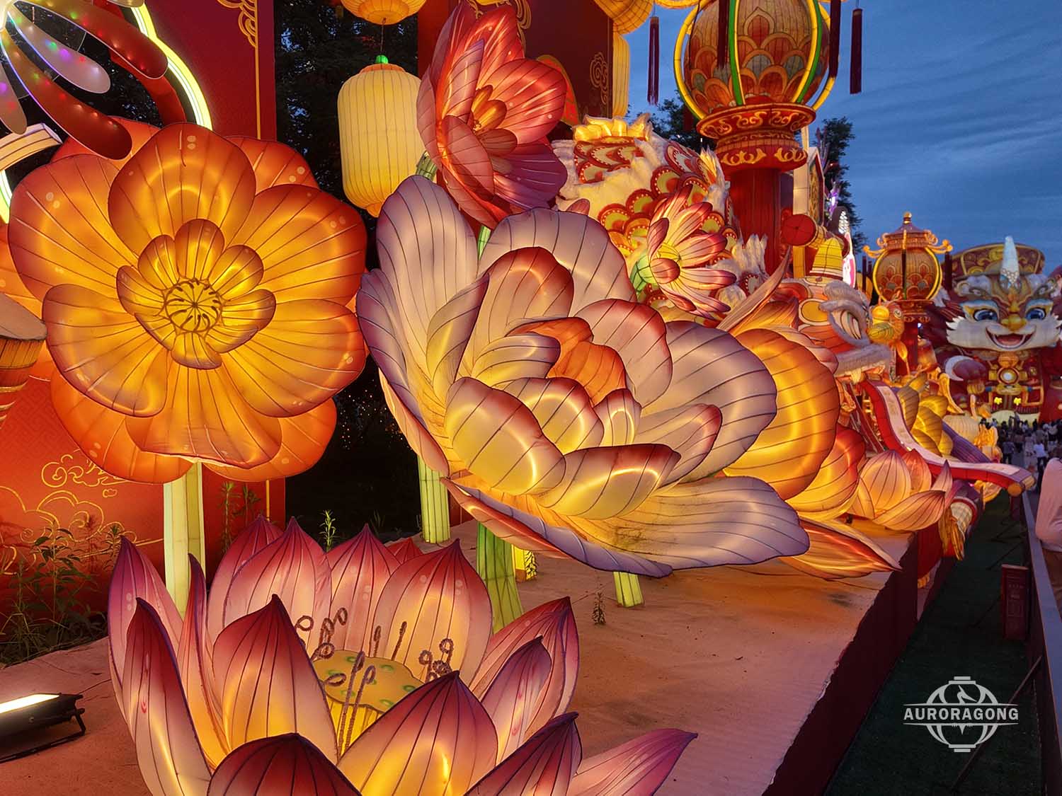 Illuminated Peony Lantern