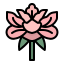 icons8 牡丹 64