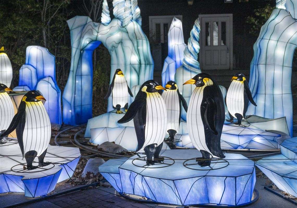 Penguin lantern display at a winter lantern festival